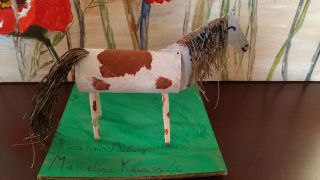 Konik Mustang - Marcelina Kulasa 2c